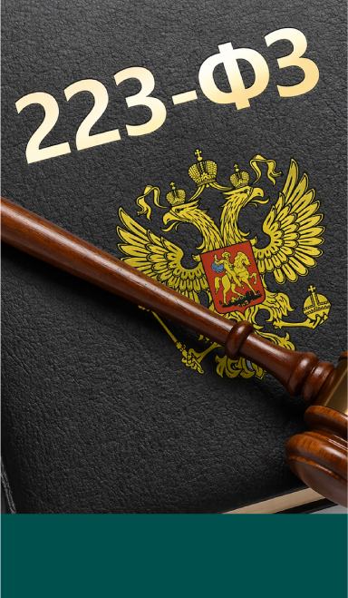 АНО ДПО «ЭН+ УНИВЕРСИТЕТ» приглашает принять участие в закупке на проведение обучения для руководителей и специалистов компании на тему: «ФЗ-223: обновления 2024-2025, вступившие в силу, планируемые изменения в 2026 г.»